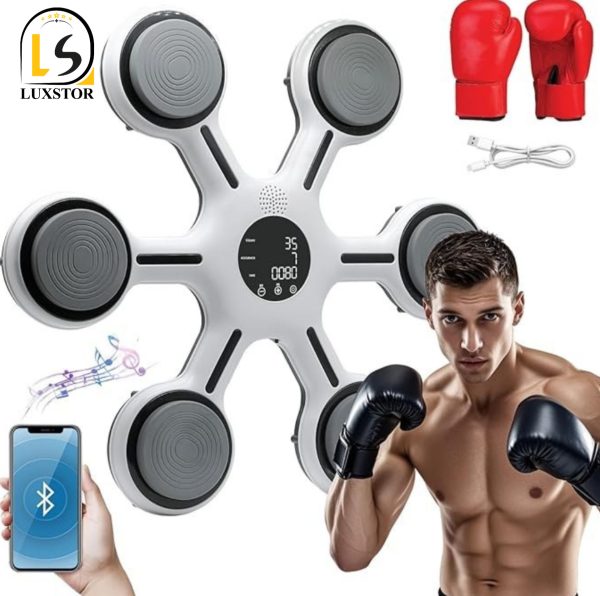 کیسه بوکس موزیکال برند FENGINX